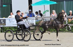 Spectaculaire Heinhuis Royal Dance debuteert met overwinning