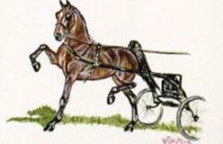 Nieuw concours op de agenda!