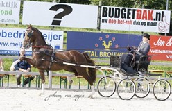 Dion ten Berge verrassende winnaar met Tivoli Sunday Boy.