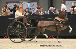 Anneke Borkent prolongeert damestitel