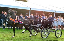 Kees Kimenai en Eclipse Sunrise nu wel kampioen van Nederland