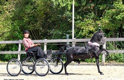 Heartland Heartbreaker ereklasse kampioen regio Zuid