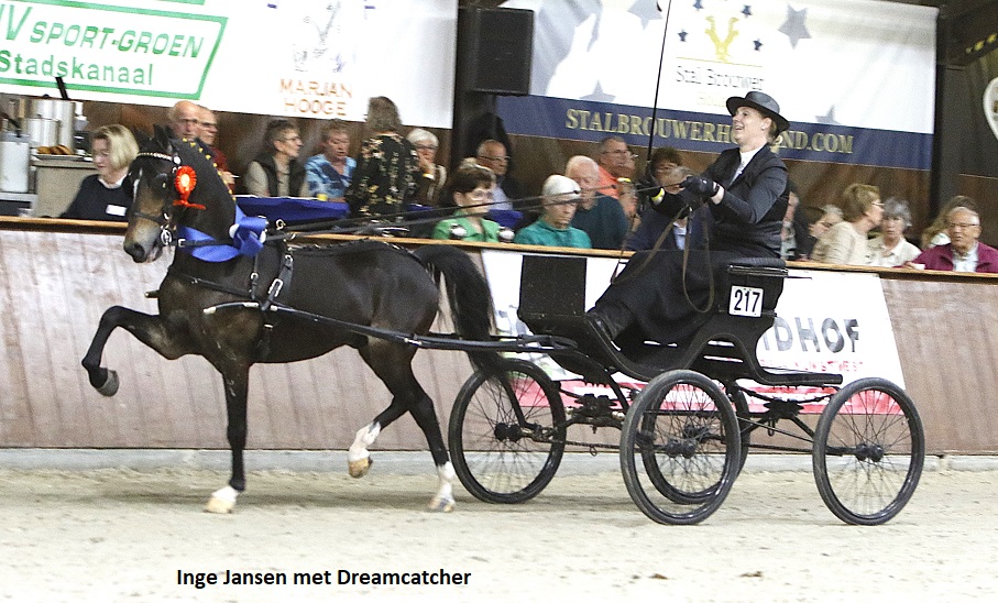 Persbericht Noordelijke Tuigpaarden Dag Exloo