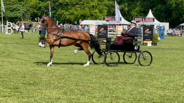 Overlijden Dhr. de Laat