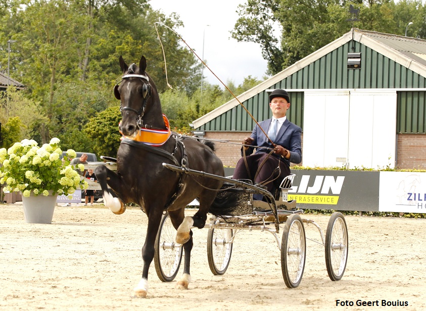 Mark de Groot rijdt Eclipse Greatest Dancer naar kampioenschap grote maat